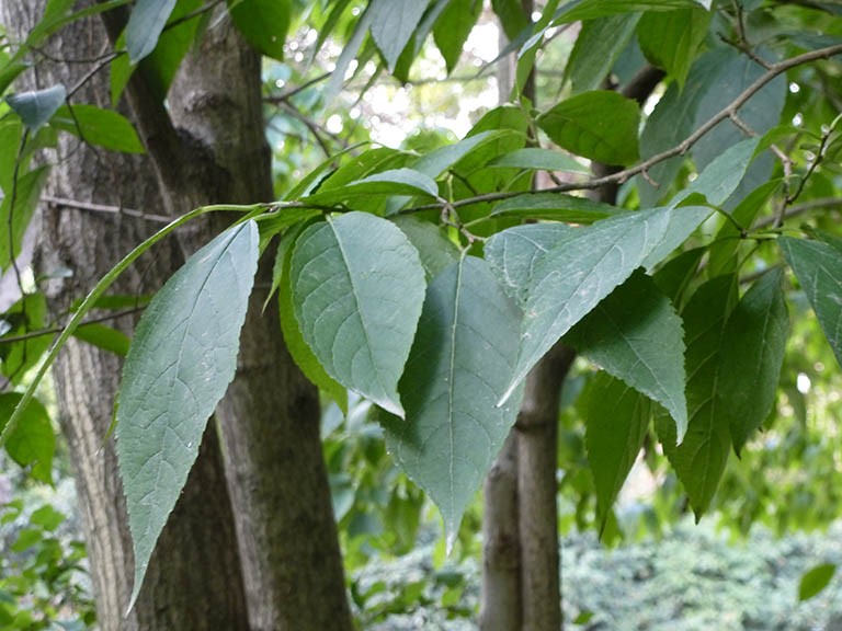 điều trị Đông y tại Đắk Lắk