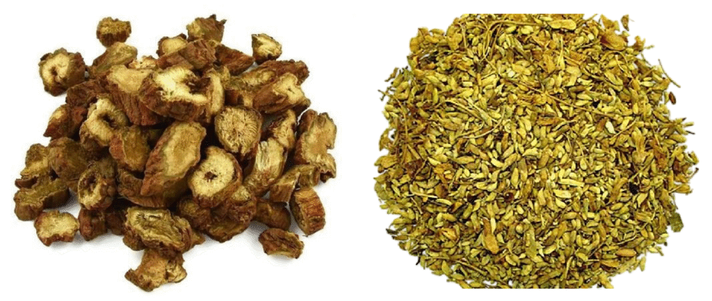 Suy giãn tĩnh mạch