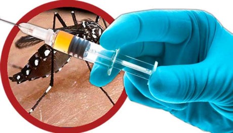 PHÒNG, CHỐNG SỐT XUẤT HUYẾT